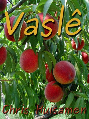 cover image of Vaslê